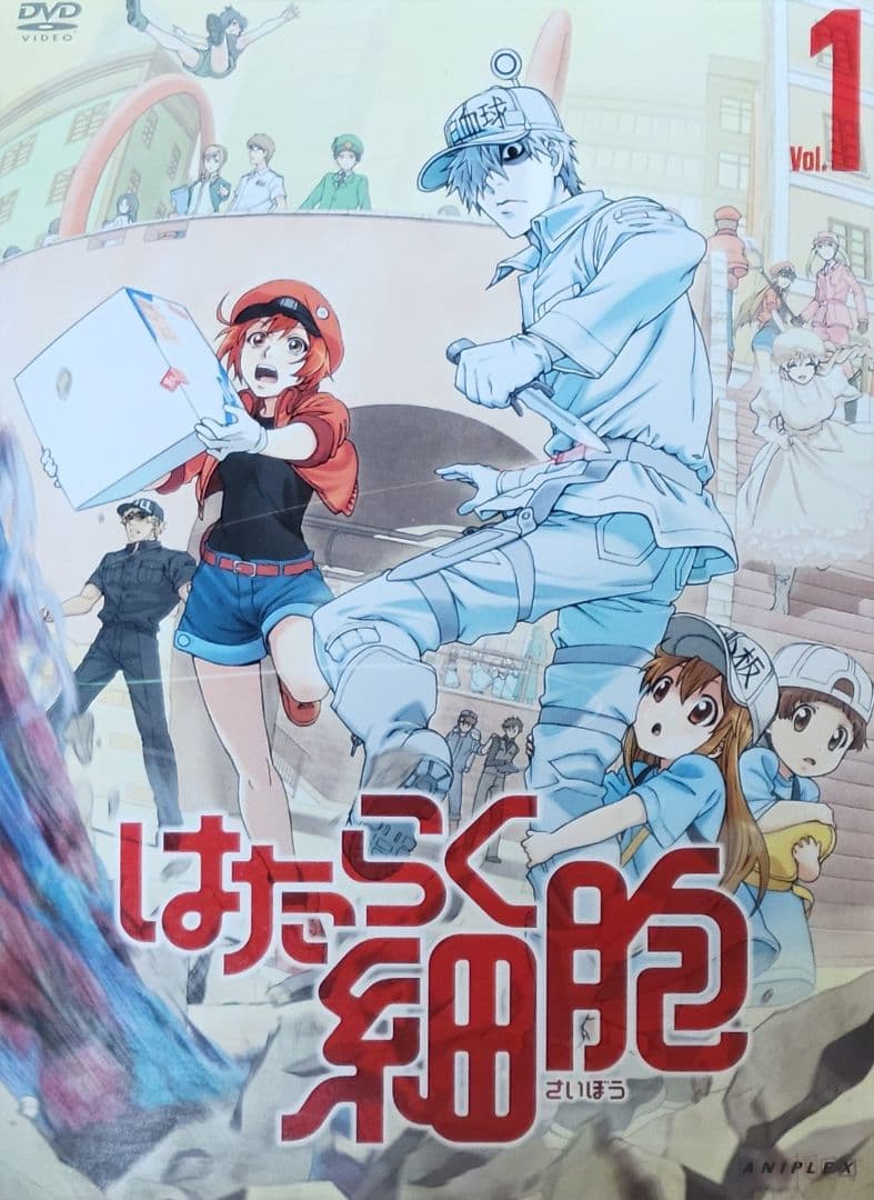 はたらく細胞 DVD レンタル落ち 全7巻