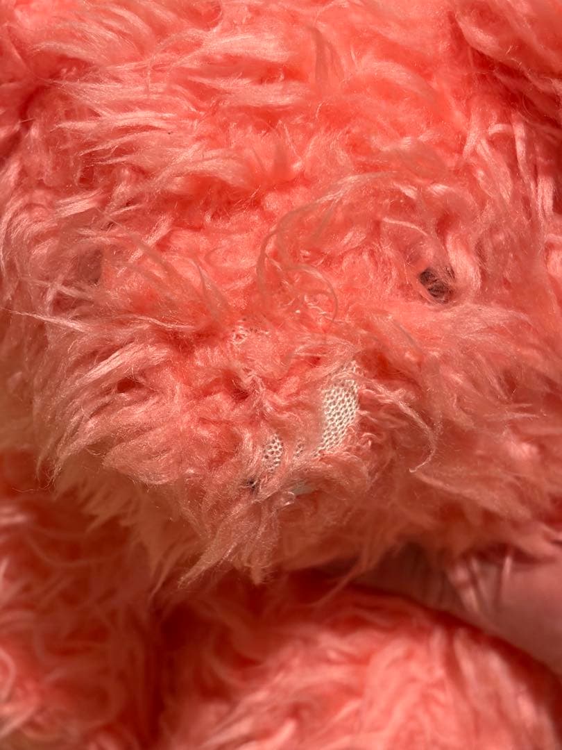 ジェネラルリサーチ アナルコマウンテン クマちゃん