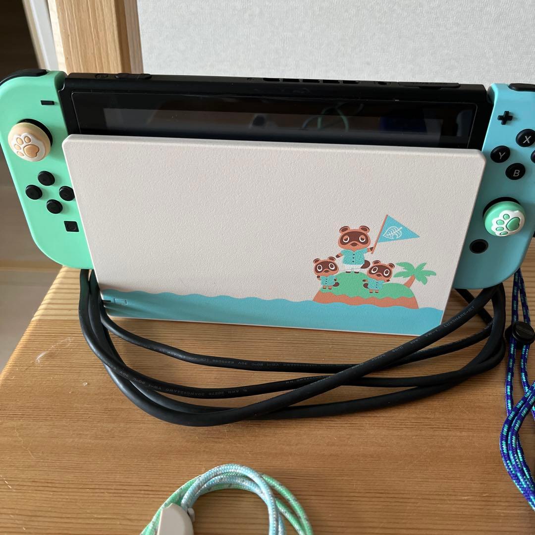 Nintendo Switch 本体 動物の森