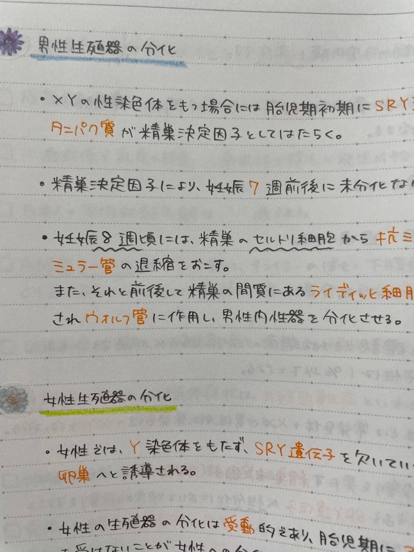 助産師学校受験対策　まとめノート　【母性】【小児】【基礎看護】