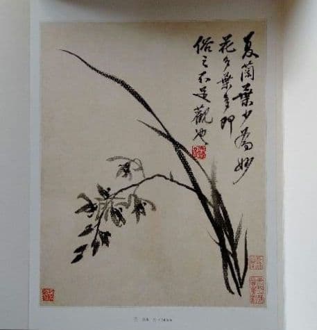 【中国水墨画壇巨匠石濤画集(冊頁)】中国絵画史の最高峰 飾り物、額装も出来ます
