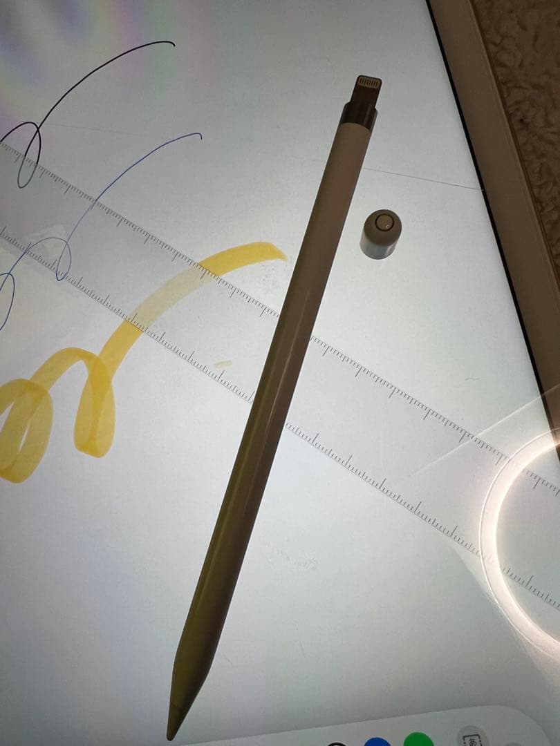 W*n様 iPad pro 12.9インチ (第1世代) 256GB ゴールド