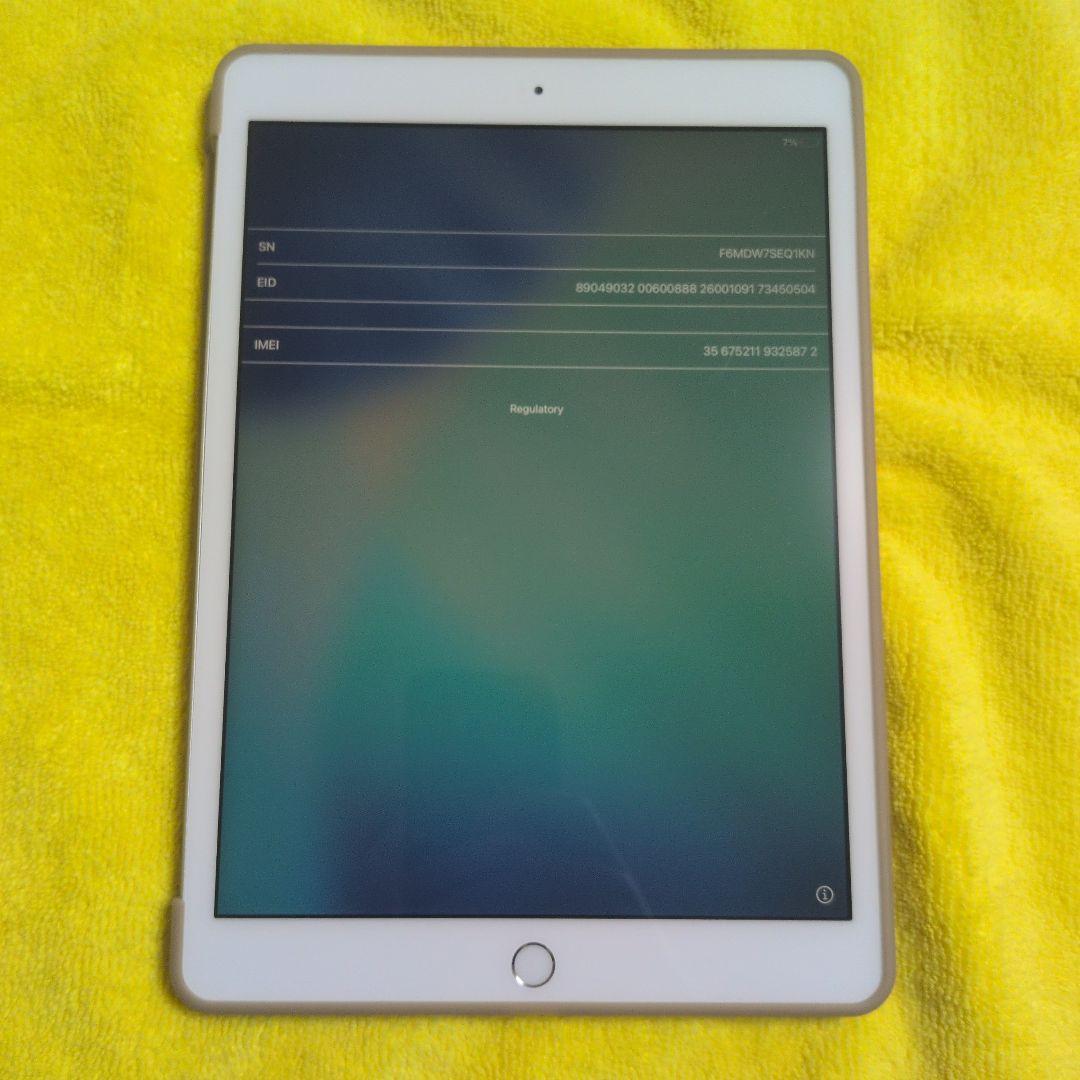 iPad(第8世代) Wi-Fi celluler 本体 カバー付き (変形有)