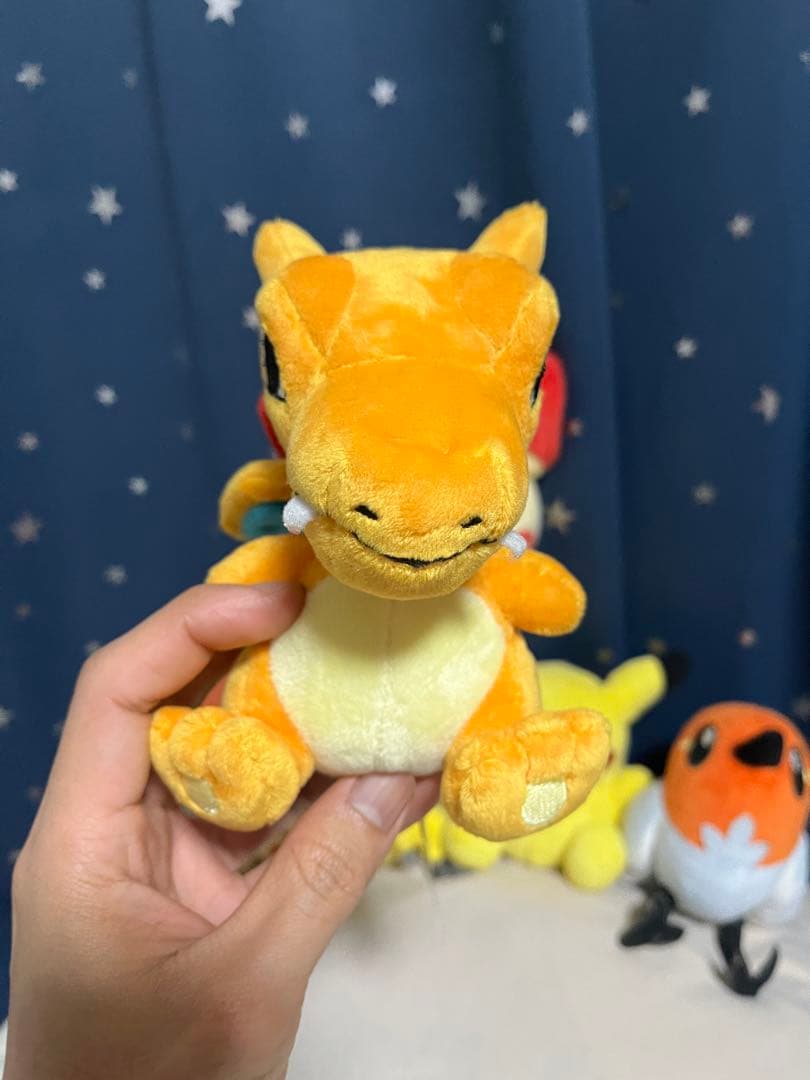ポケモンぬいぐるみ　ポケドール　6セット
