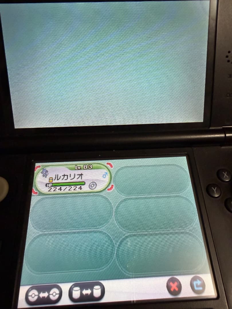 ポケモン Y ソフト トウホク 色違いジラーチ 配布
