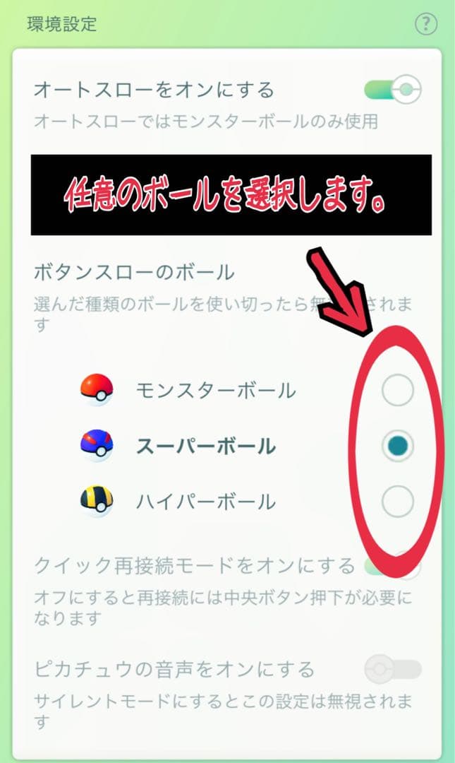 胡桃@プロフ必読 ポケモンGO plus ＋ オーダー品