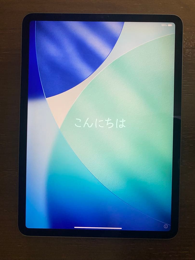 【ジャンク・画面割れなし】iPad Pro 11インチ第3世代 Wi-Fiモデル