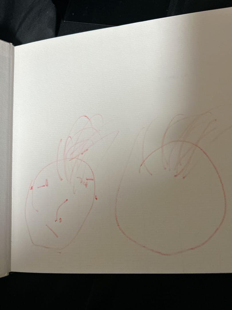 子どもの絵ことば　ミヒャエラ•シュトラウス