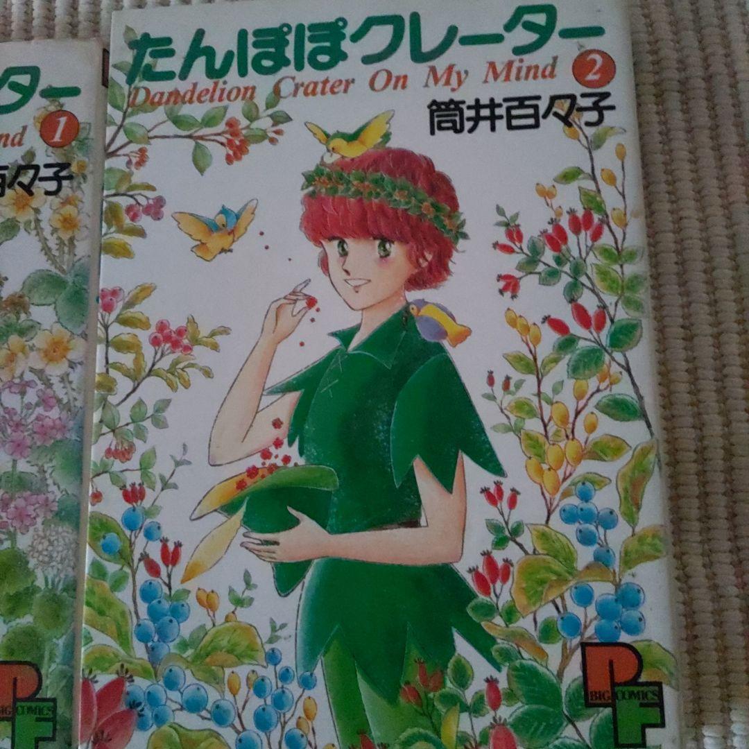 【絶版希少本！】筒井百々子 「たんぽぽクレーター」上下巻