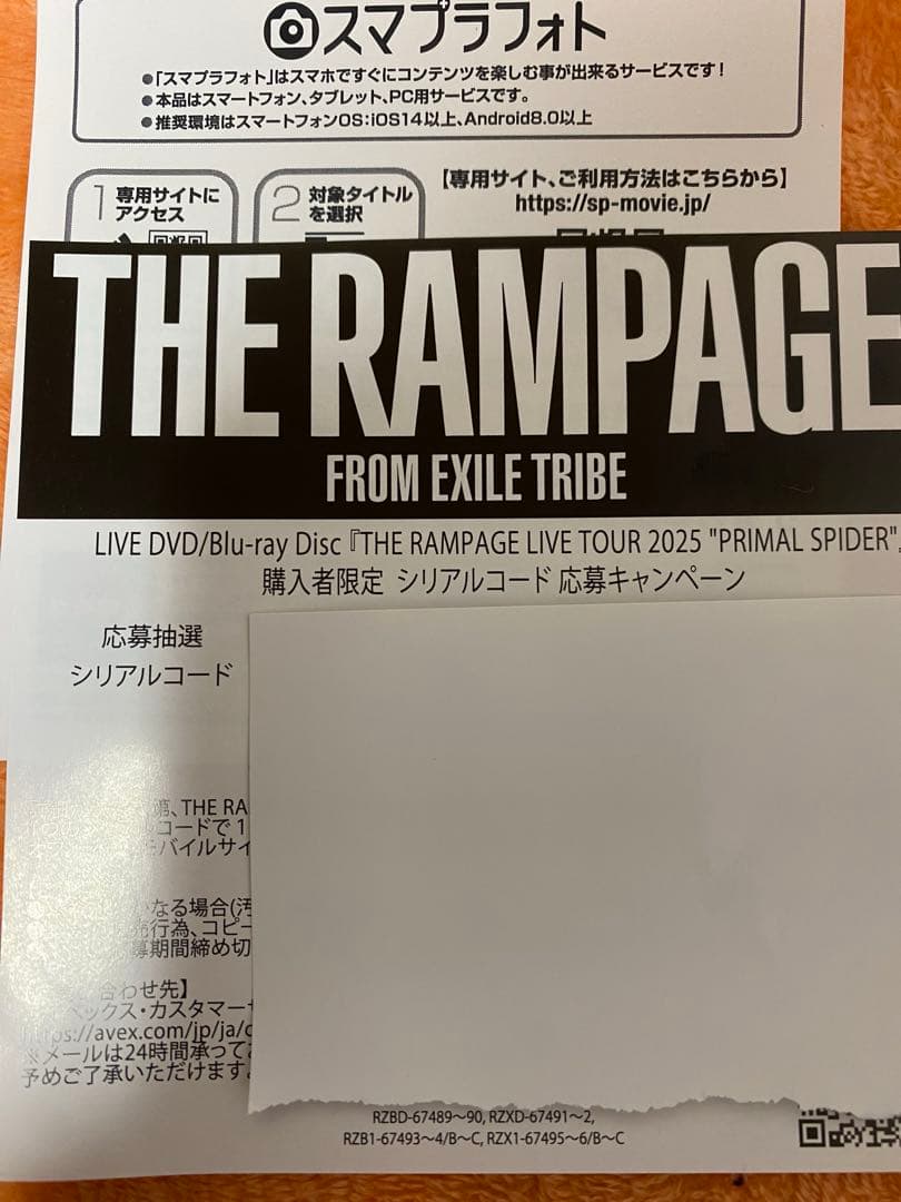 ミュージック THE RAMPAGE LIVETOUR2025PRIMALSPIDER DVD