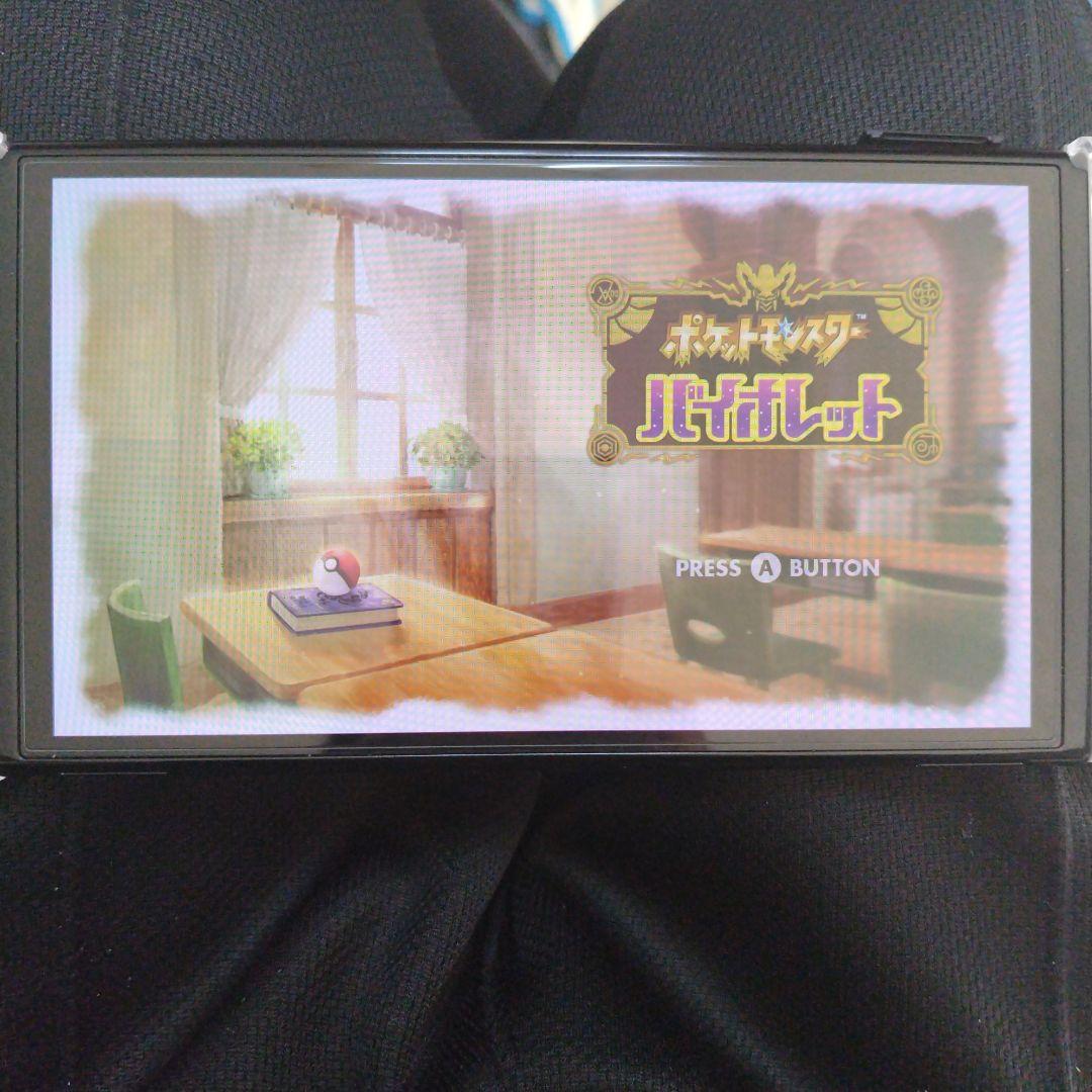 ポケットモンスター バイオレット＋ゼロの秘宝 Nintendo Switch