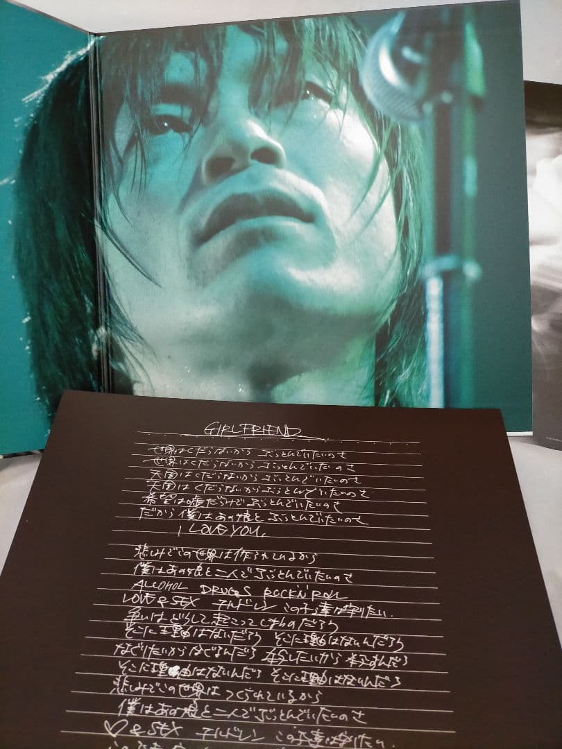 【中古】ミッシェルガンエレファント「 ラストライブ」レコード 4LP