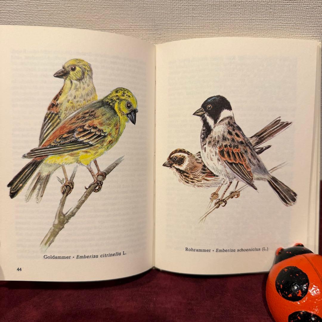 320⑦ドイツ語鳥図鑑3冊セット　洋書古書　ジャンクジャーナル　ボタンニカル