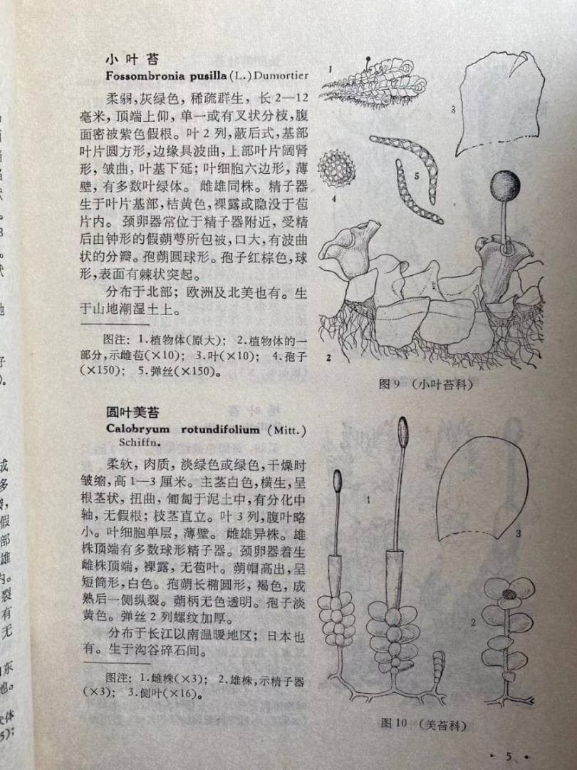 貴重な研究資料【中国高等植物図鑑】１巻～５巻セット　1972文化大革命時期に発行