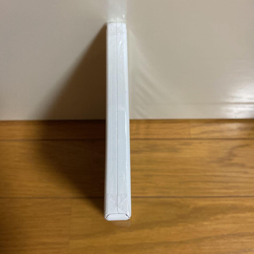 新品未開封　ラビッツ・パーティー タイムトラベル