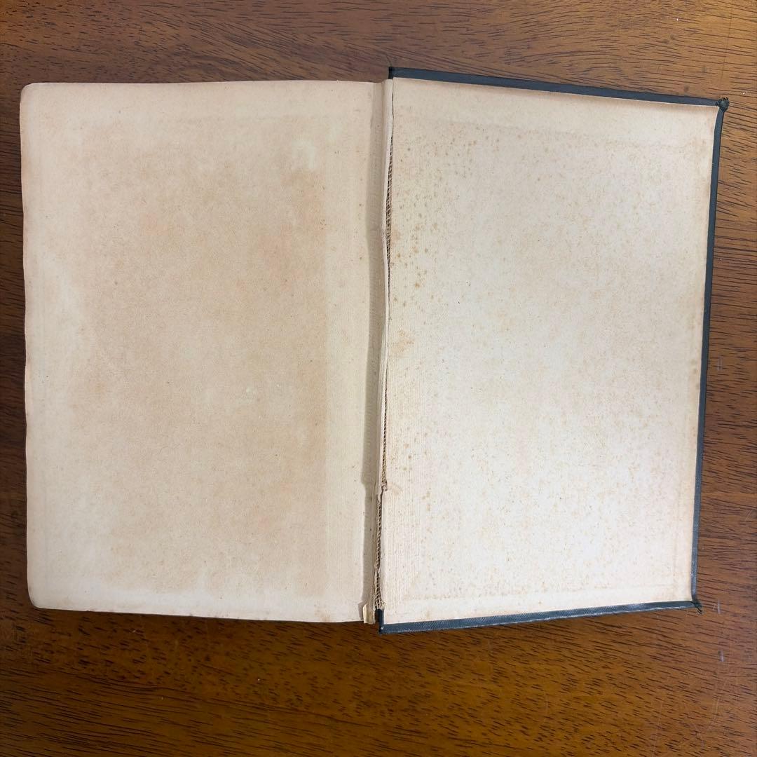 洋書 Poems - Christina G Rossetti 1891Vintage