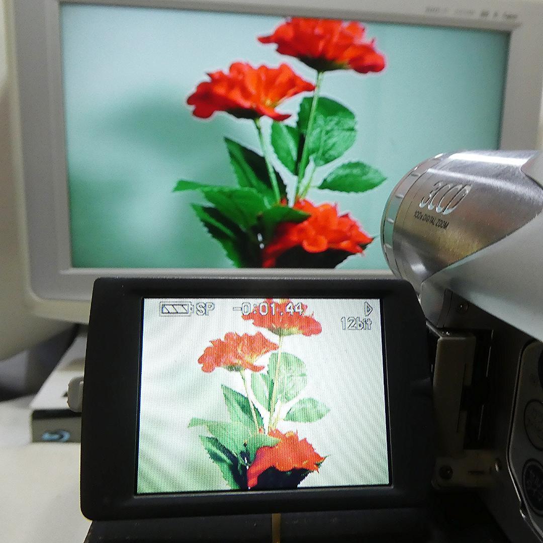パナソニックNV-GS70【動作良好】 MiniDVビデオカメラ ダビングに最