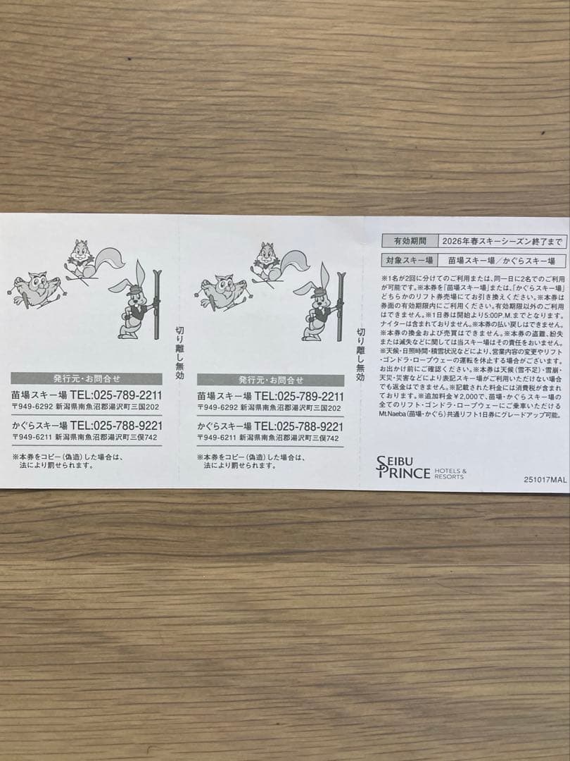 かぐらスキー場　1日リフト引換券２回分　駐車場割引券おまけ付き