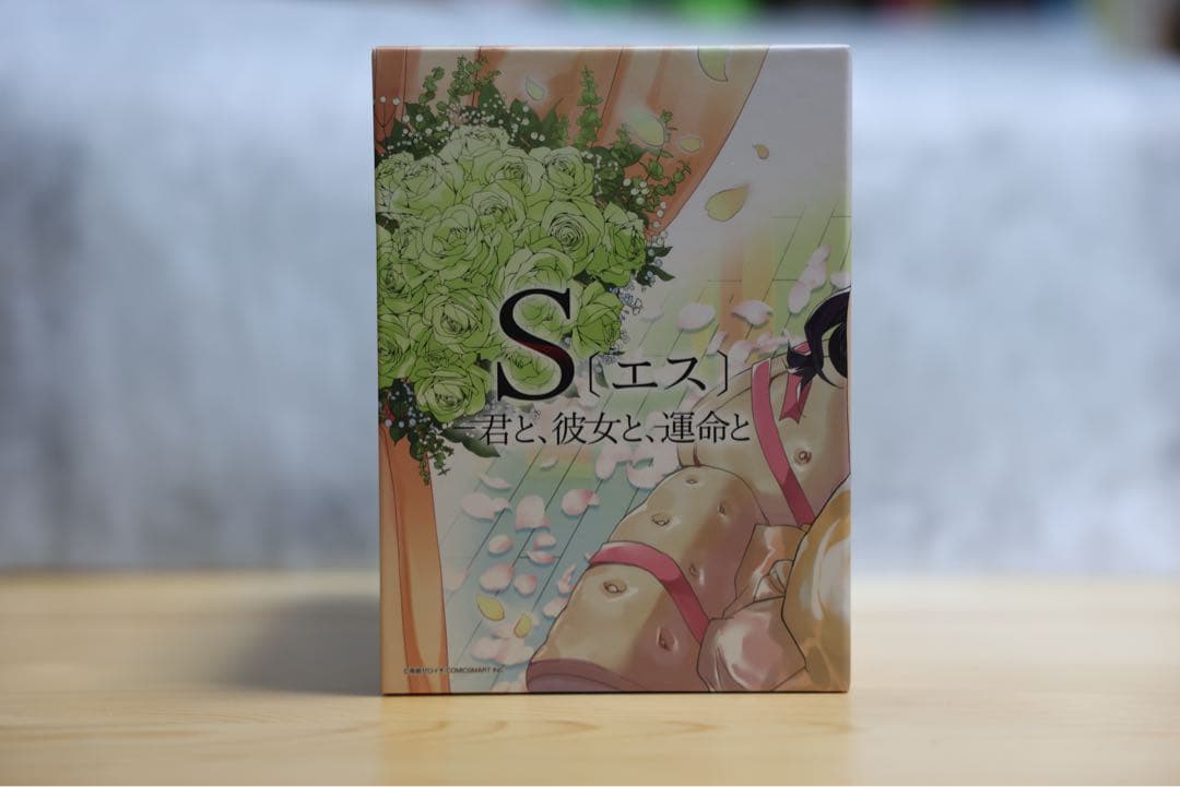 君と、彼女と運命と S（エス）