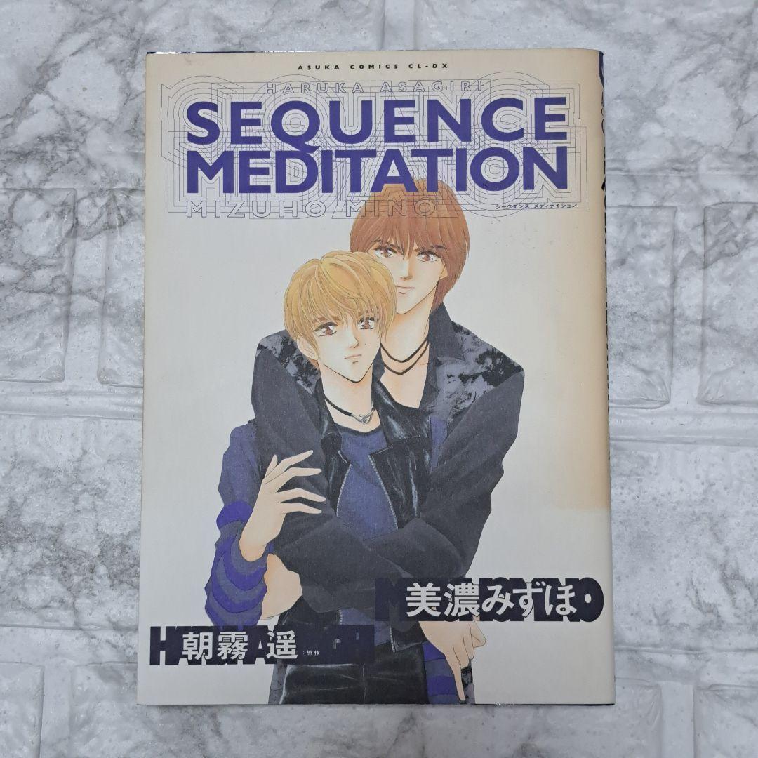【希少品 絶版 プレミア】SEQUENCE MADITATION access