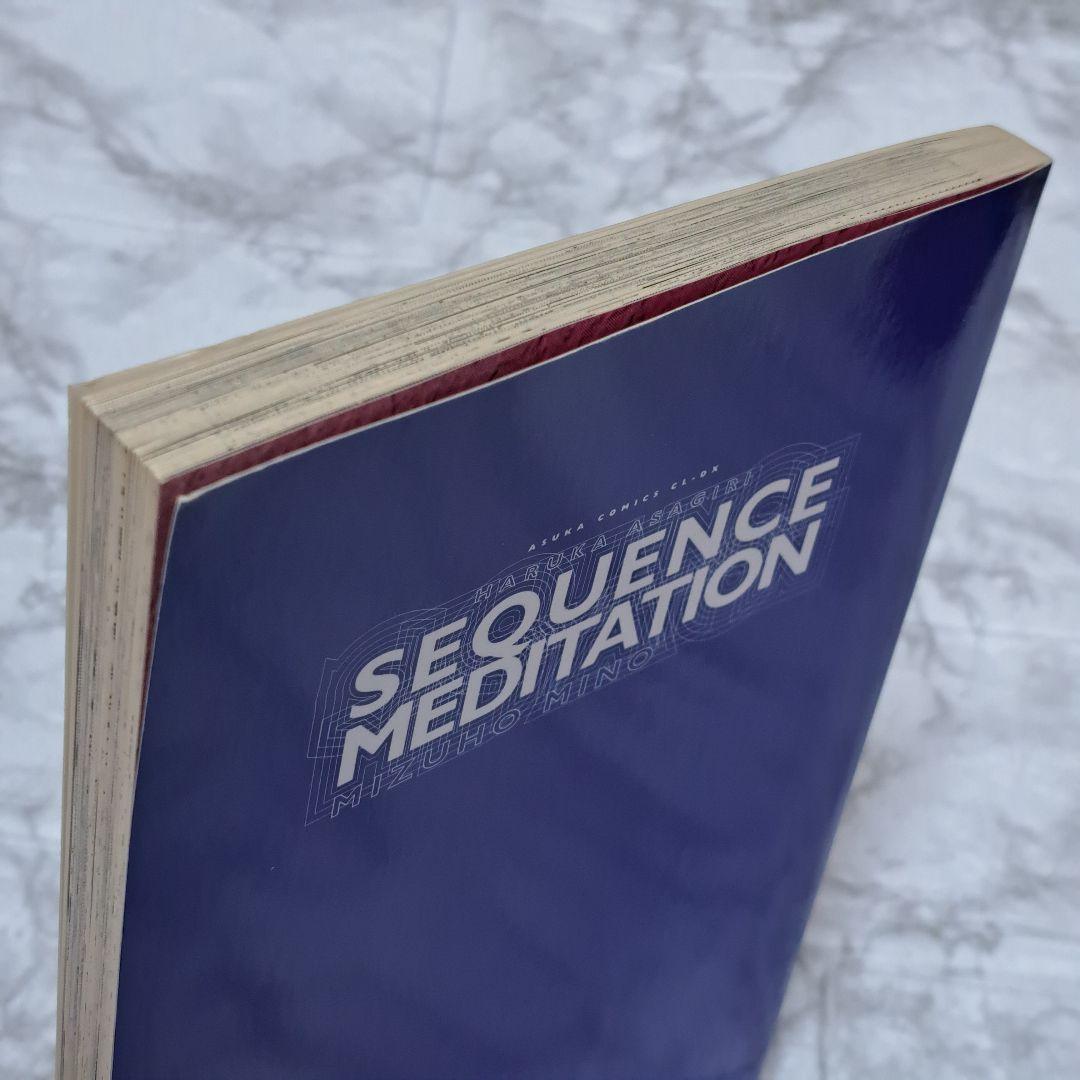 【希少品 絶版 プレミア】SEQUENCE MADITATION access