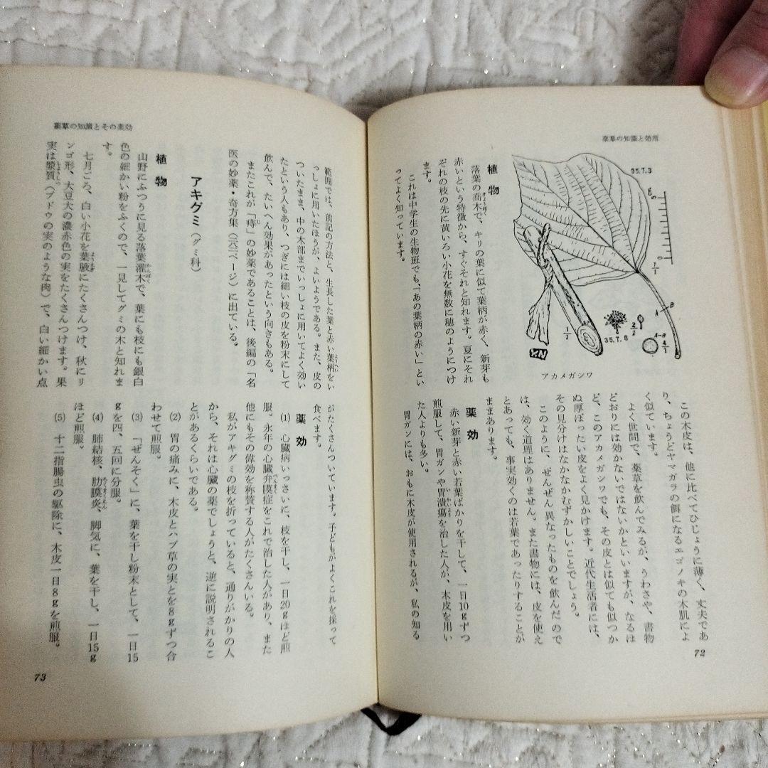 ちえ【希少】薬草の知識と効用