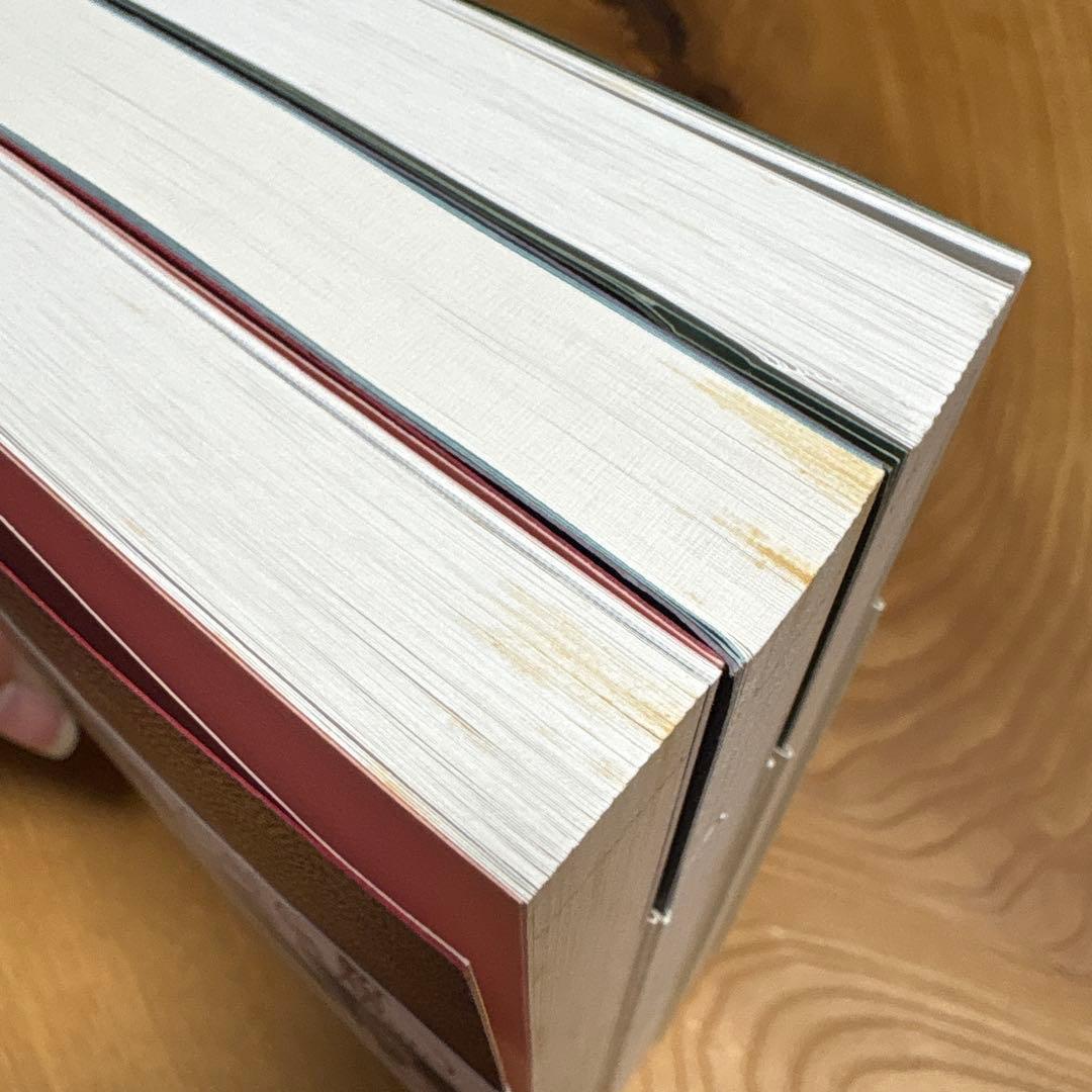 Sonya's Shopping Manual ソニアのショッピングマニュアル