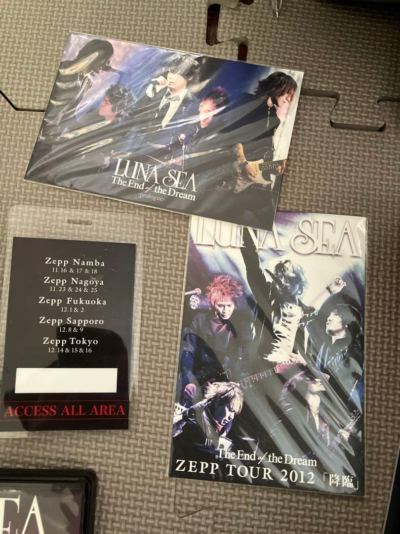 初回限定　ミニパンフ　レプリカパス付　LUNASEA dvd 「降臨」