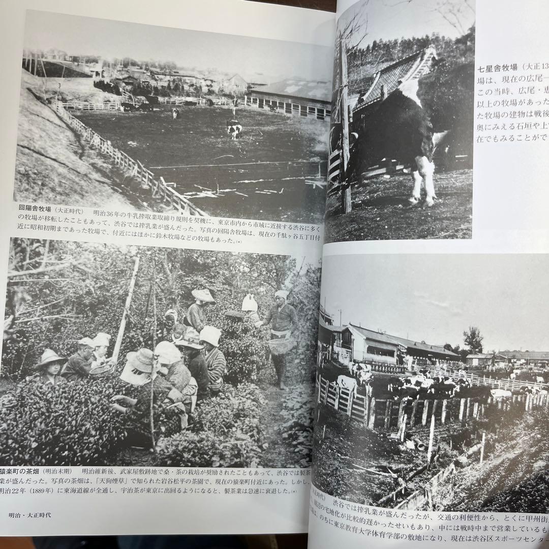 目で見る渋谷区の100年 : 写真が語る激動のふるさと一世紀