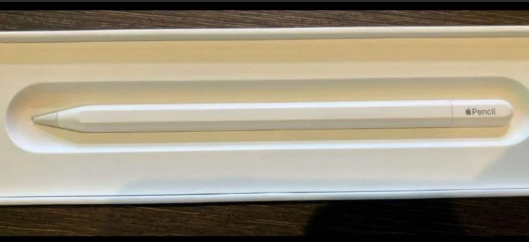 Apple Pencil type-C カバー付き