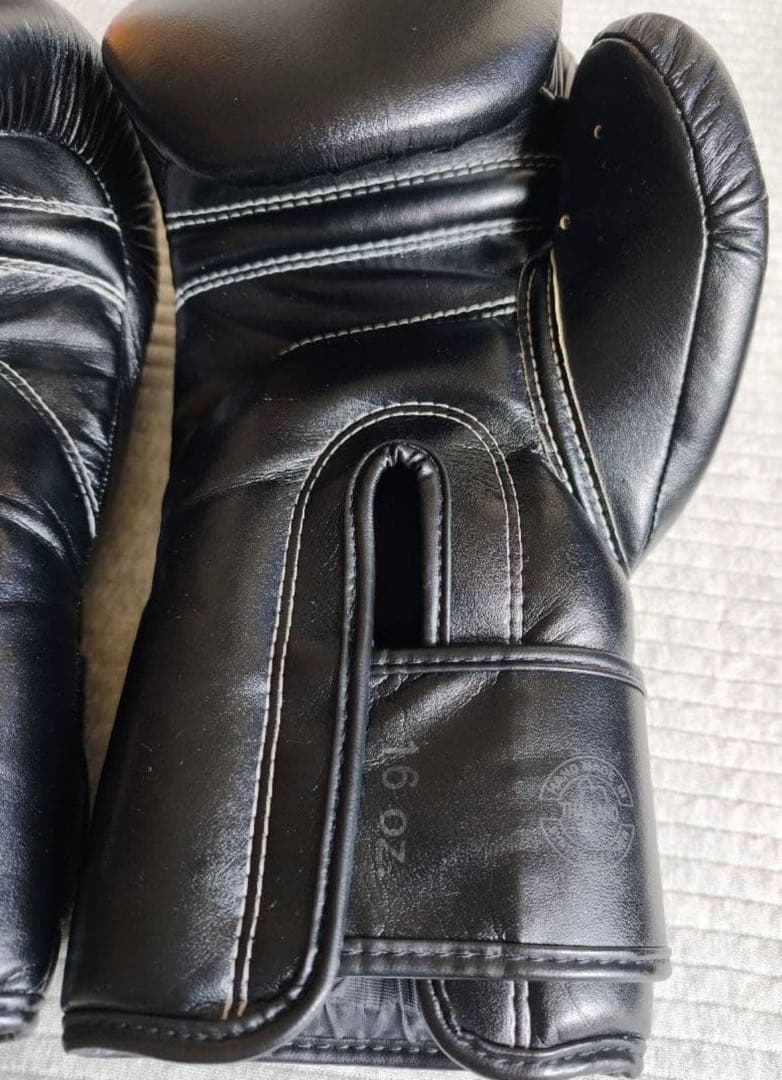 Fairtex フェアテックス 16oz BGV14 ボクシンググローブ