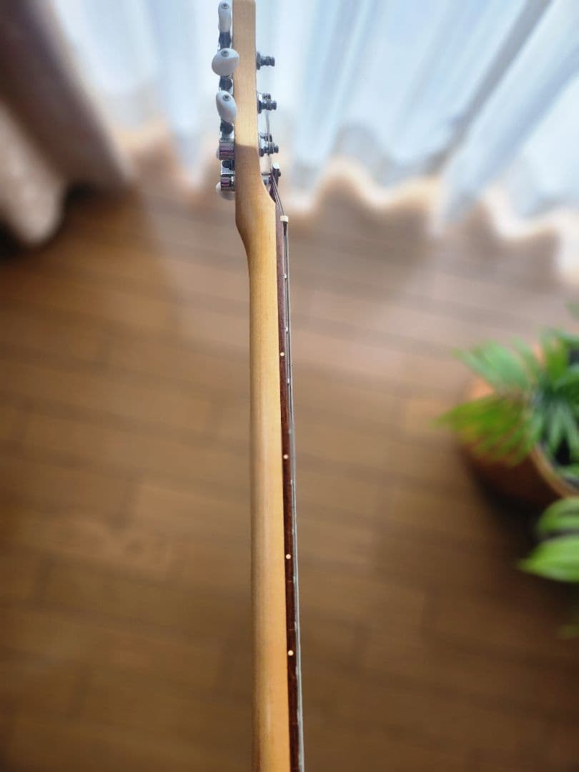 Pignose アンプ内蔵エレキギター