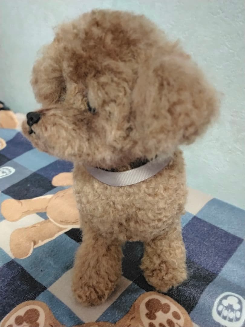 お値下げしました♡送料込み。トイプードルレッドちゃん。