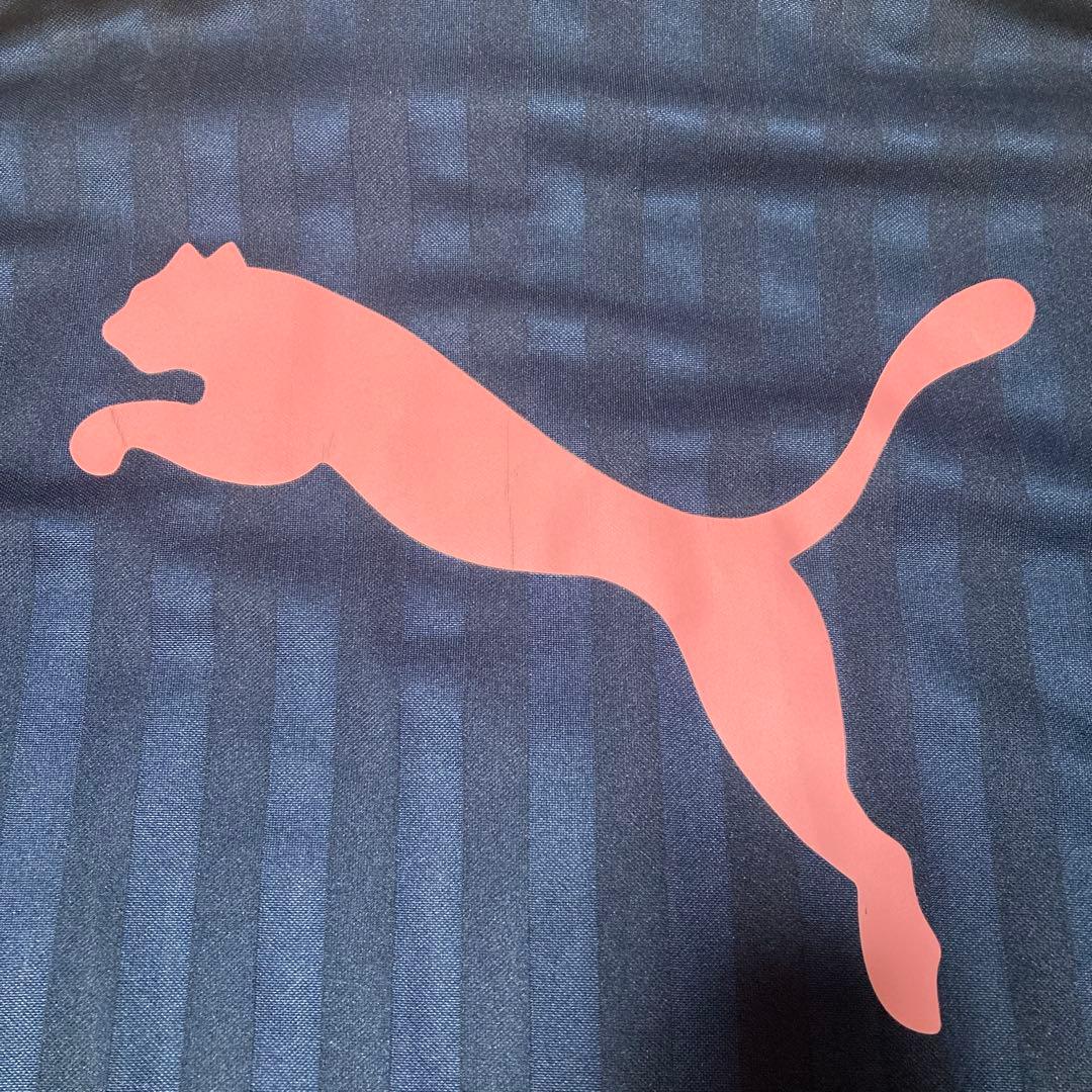 PUMA プーマ プージャ ジャージ ジップアップ 上下セット L〜O 未使用品