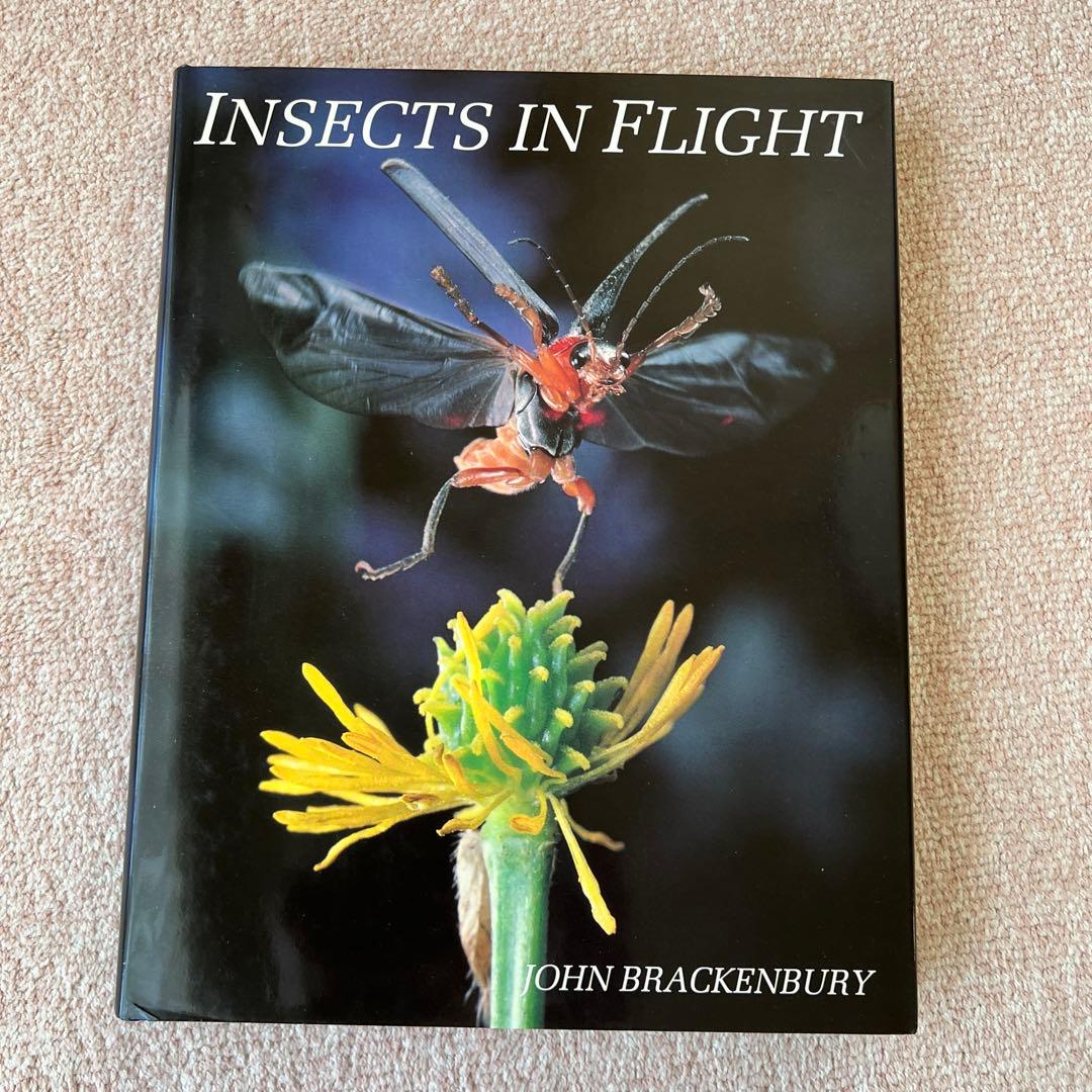 洋書　INSECTS IN FLIGHT 昆虫の飛行　大型写真集