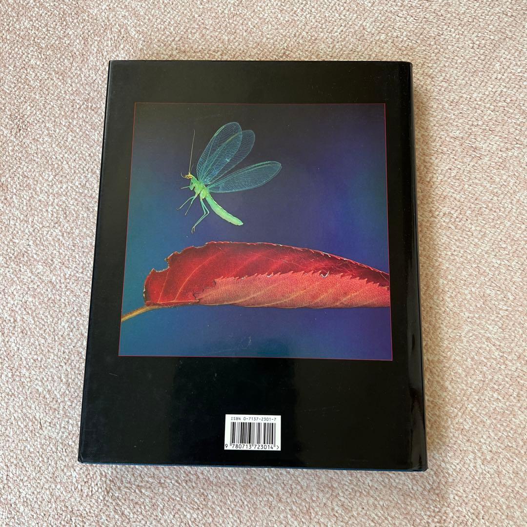 洋書　INSECTS IN FLIGHT 昆虫の飛行　大型写真集