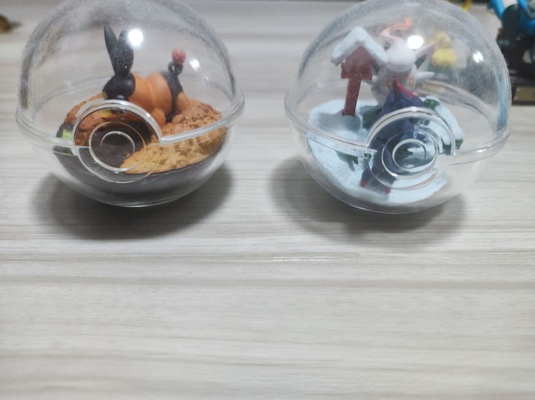 ポケモン リーメント 11点 まとめ売り