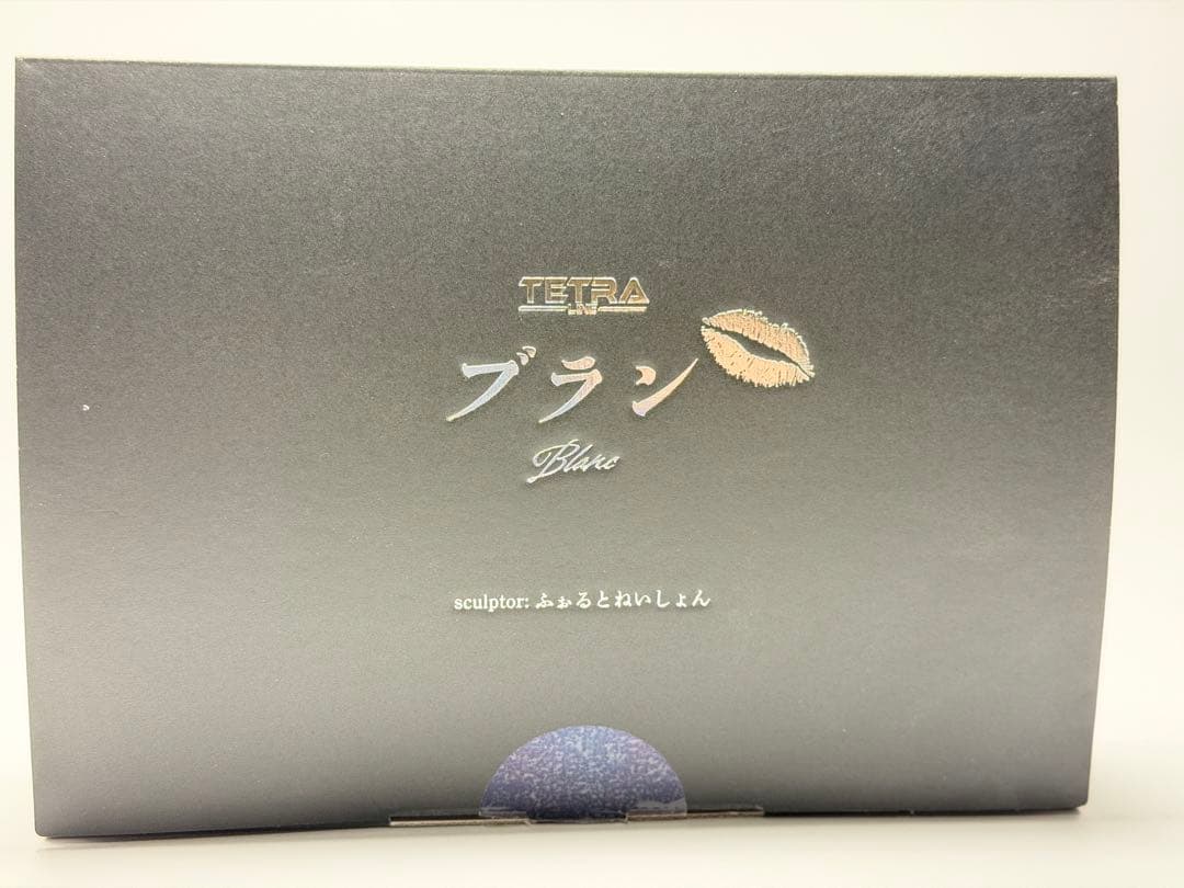 ふ*ゃ様 ブラン•ノワール姉妹セットNIKKEふぉるとねいしょんガレージキット