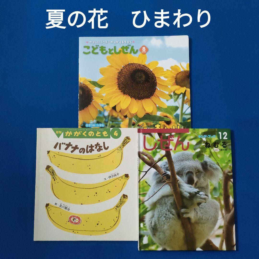 こどもとしぜん　キンダーブックしぜん　かがくのとも　ひまわり　バナナ　ねむる