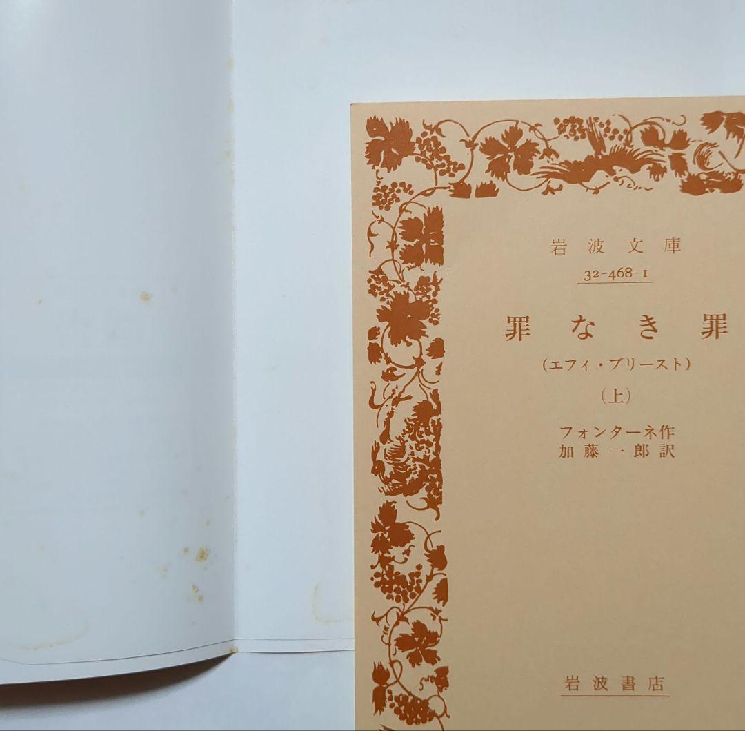 フォンターネ 罪なき罪 上・下 迷路 岩波文庫 全3冊セット