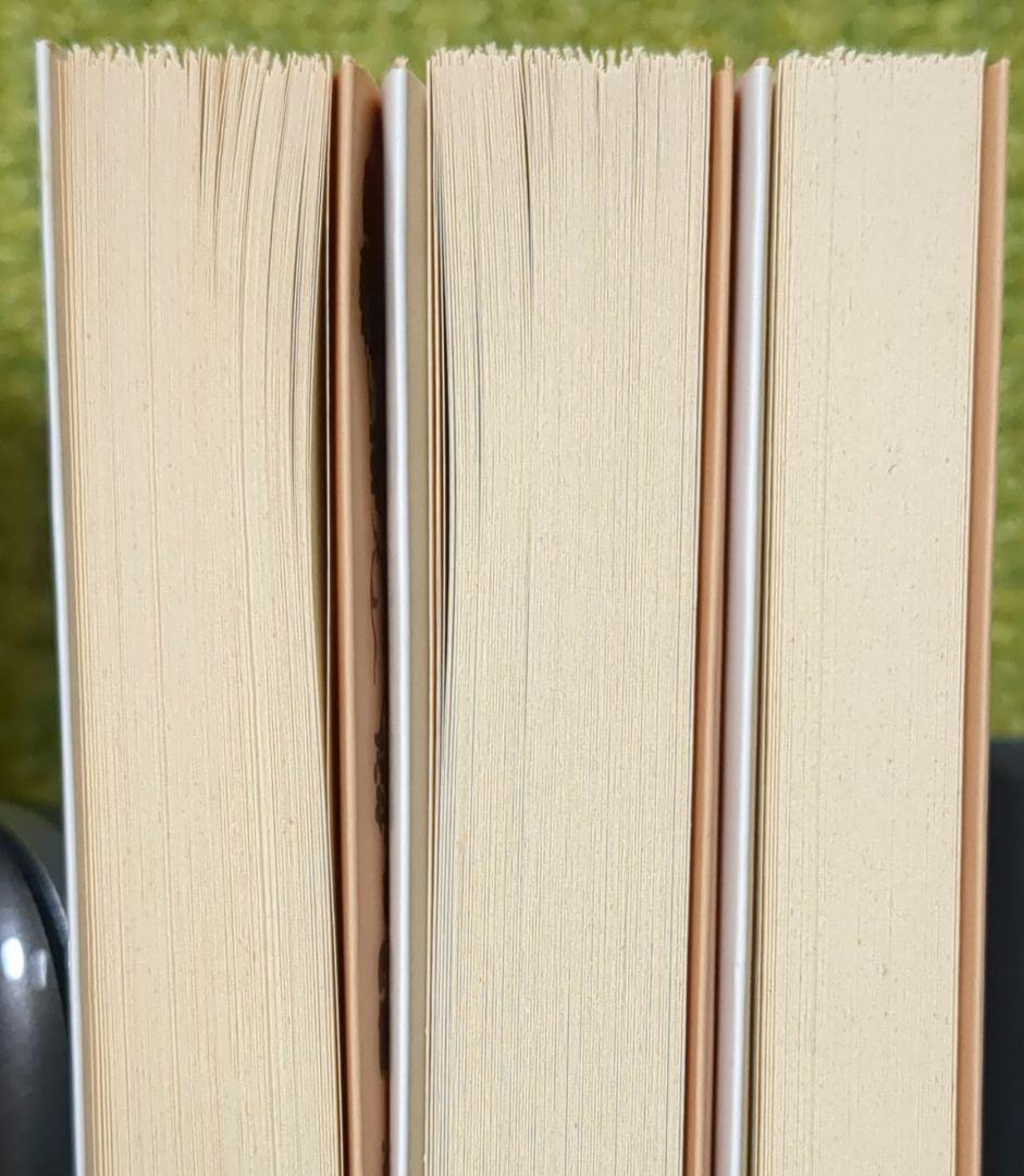 フォンターネ 罪なき罪 上・下 迷路 岩波文庫 全3冊セット
