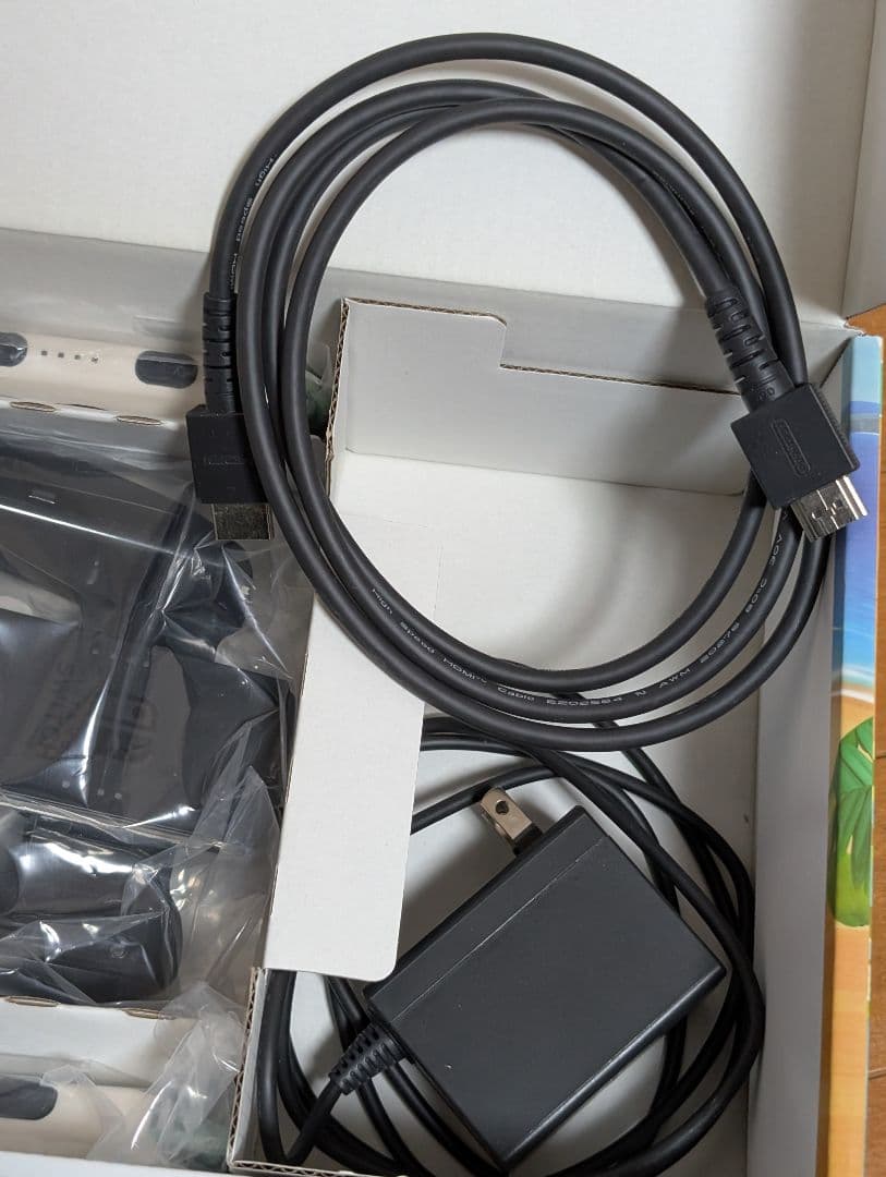 H*A様 Nintendo Switch あつまれどうぶつの森セット　中古