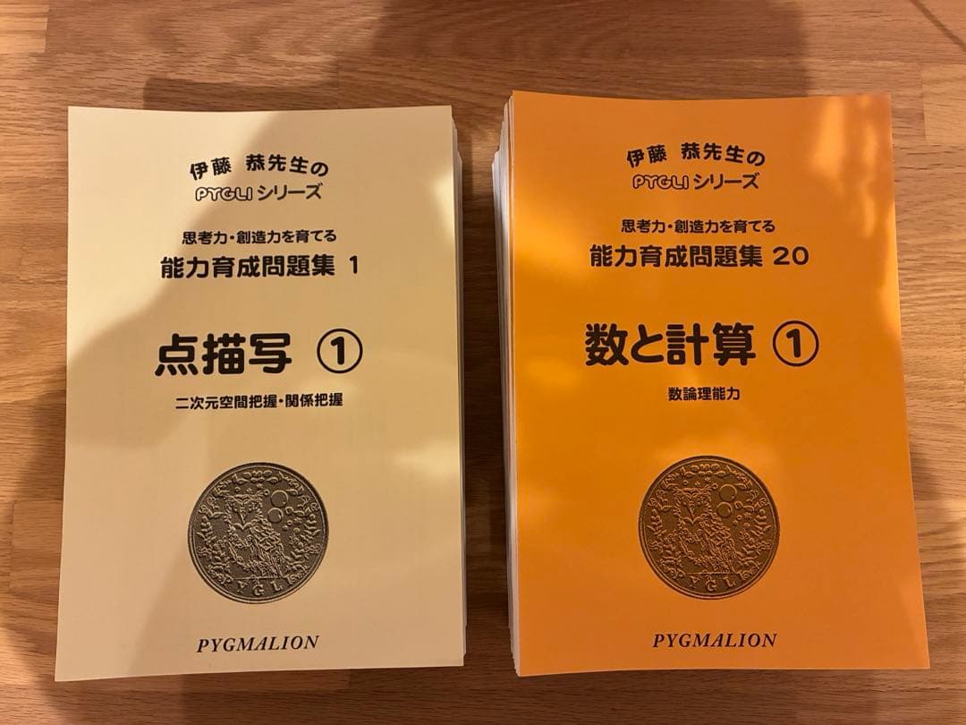 【PYGLI能力育成問題集全40冊セット】能力育成 問題集