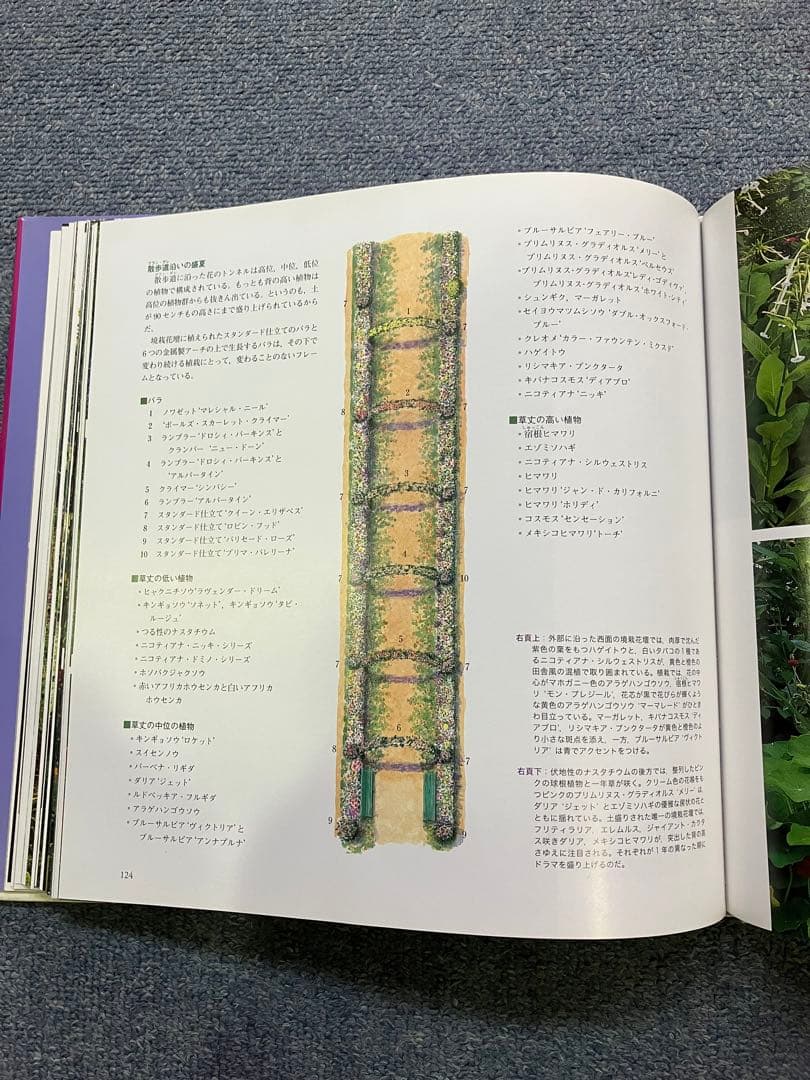 モネ　庭 花々が語る四季