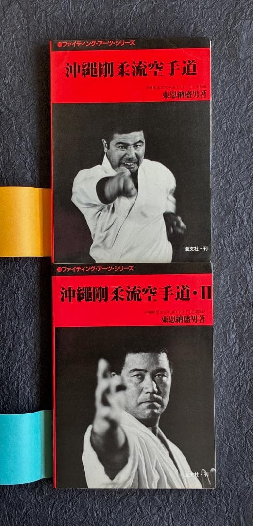 沖縄剛柔流空手道 東恩納盛男（2冊セット）