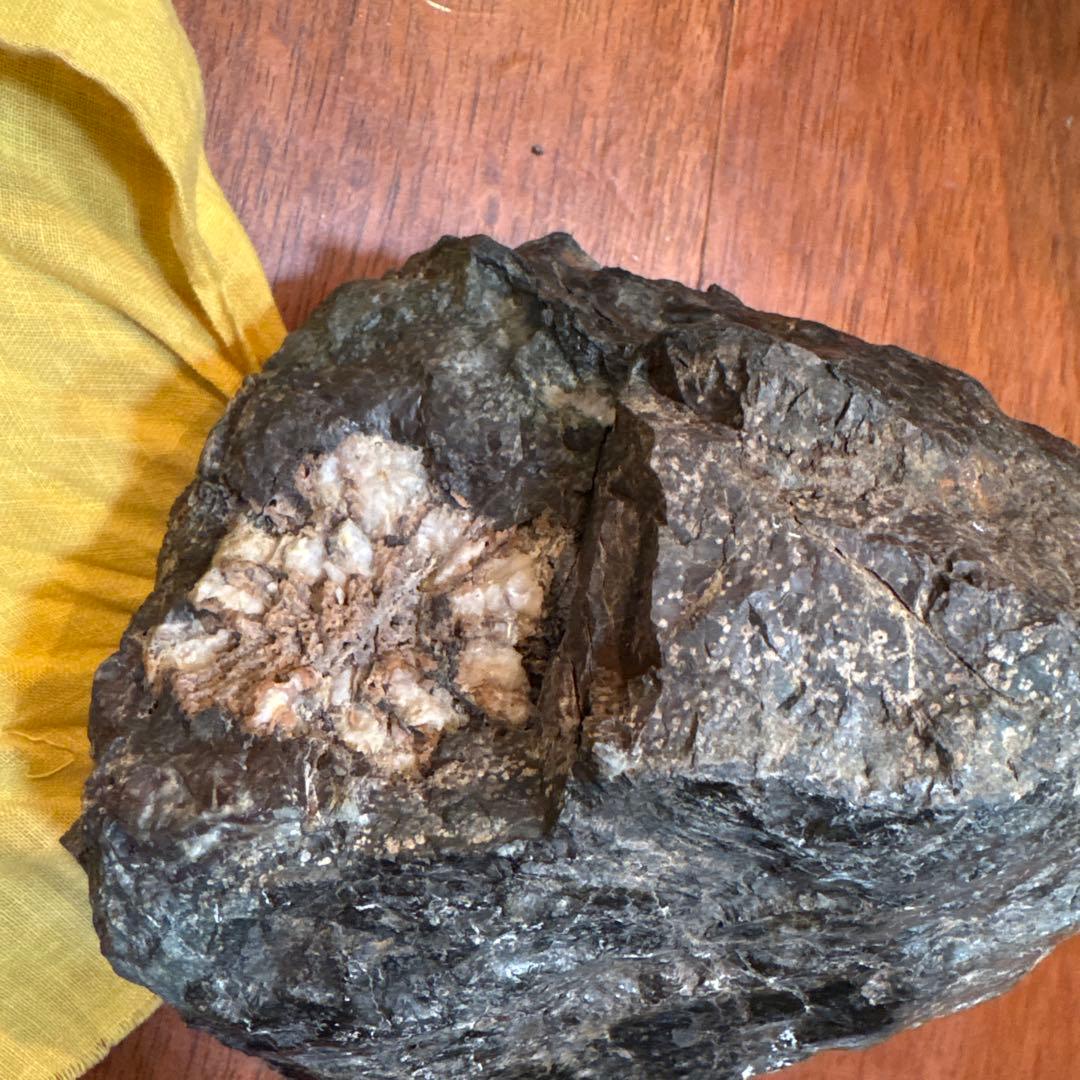 菊花石　盆栽石　鑑賞石　台座　桐箱付き
