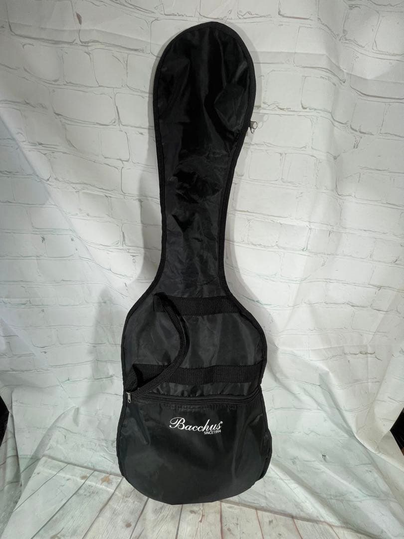 Bacchus Universe BTE-TW Tele オールローズ風