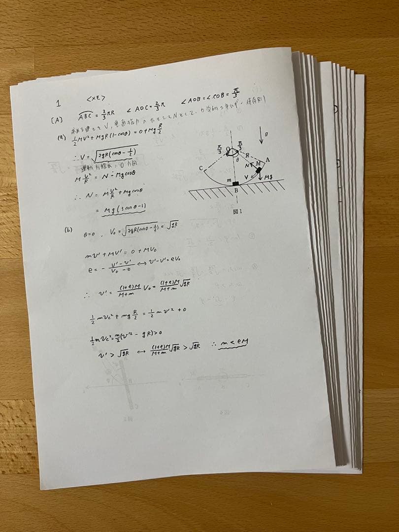 東京科学大[理工学系]物理　2025/2026　冬季講習テキスト