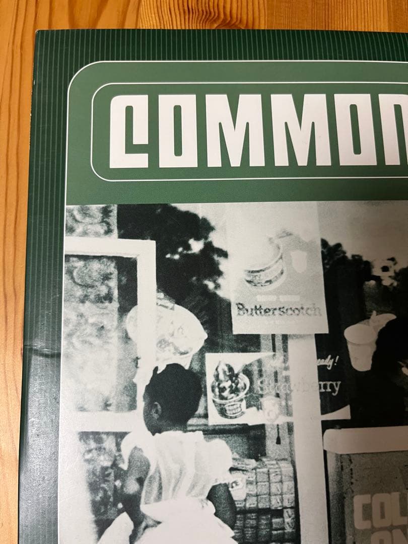 Common Like Water for Chocolate レコード 2LP