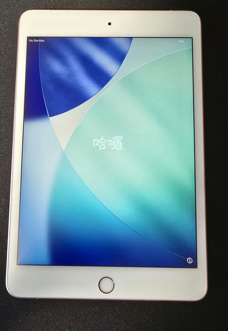 iPad mini 5 ゴール64GB WiFi + Cellular(au)